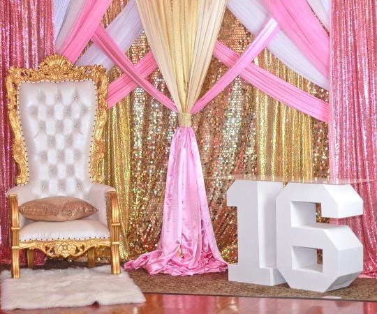 no limit party rentals 9557